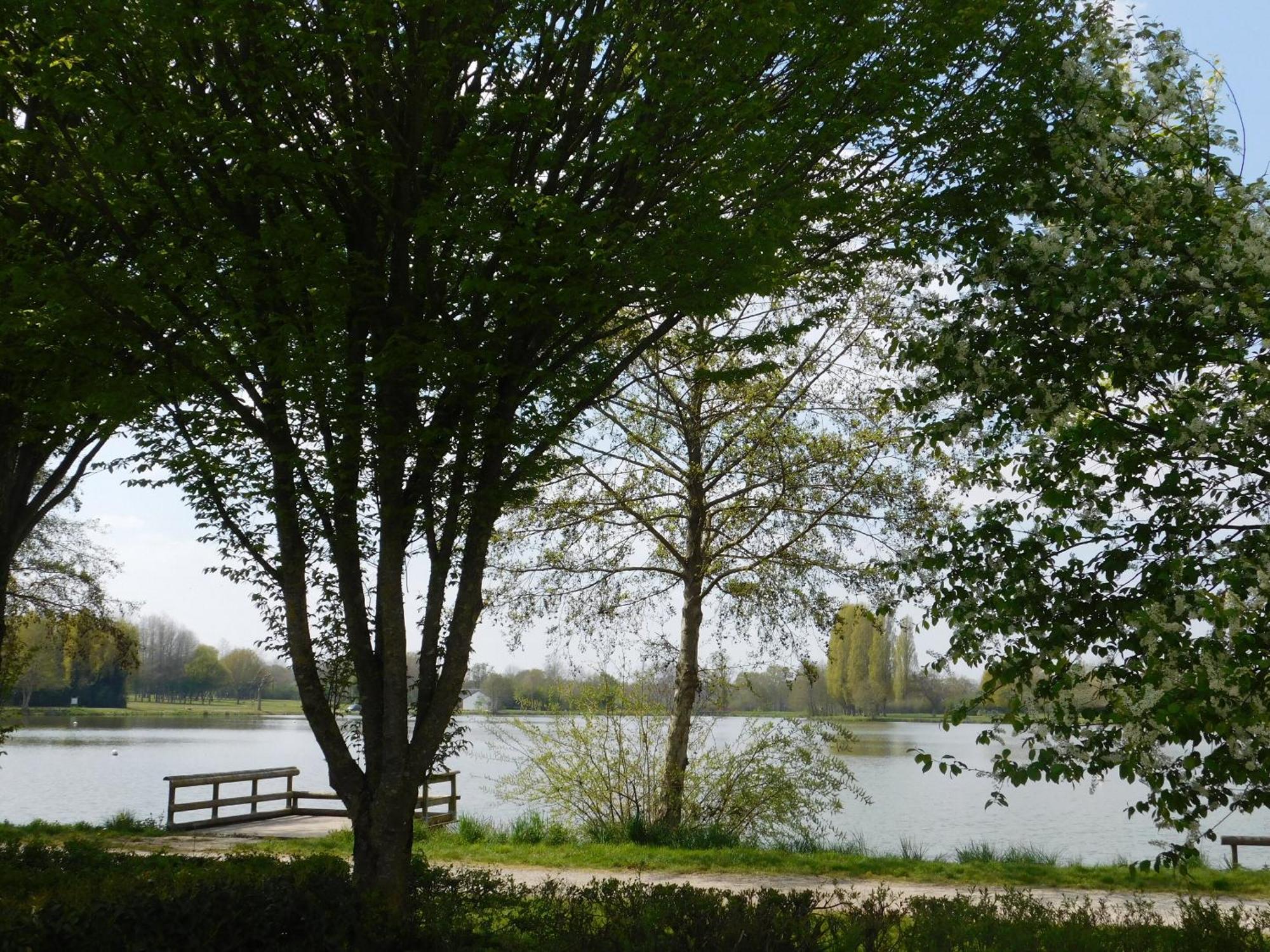 Village De Gites De La Chesnaie Saint-Denis-du-Maine Δωμάτιο φωτογραφία